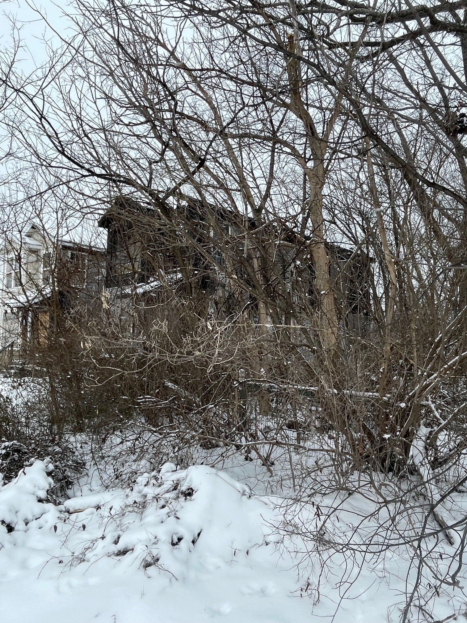 175 Candler photo
