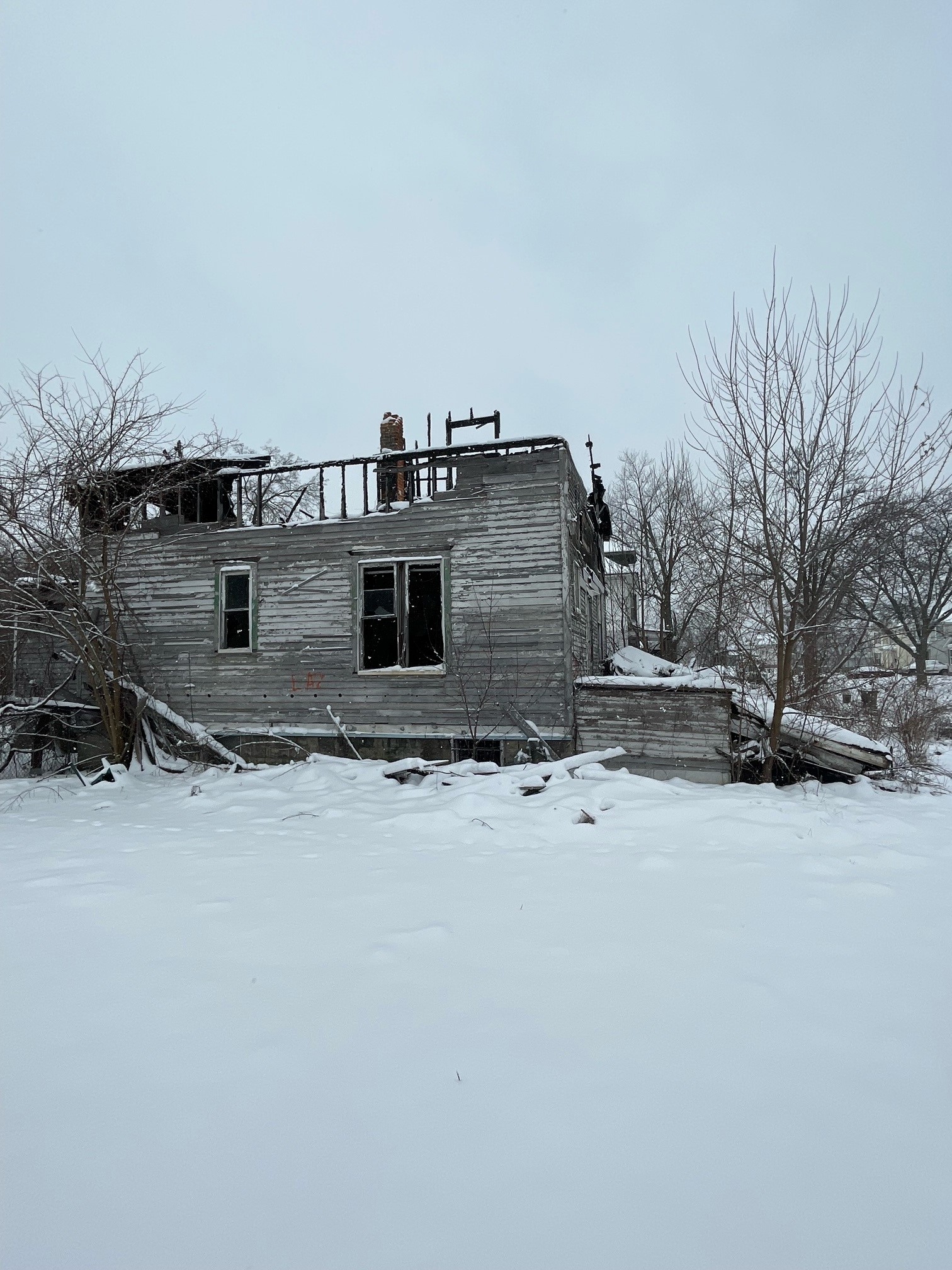 128 Stevens photo