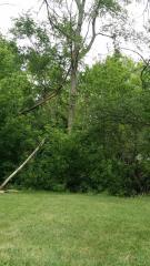 0 Saint Johns, Lincoln Park, MI