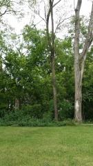 0 Saint Johns, Lincoln Park, MI