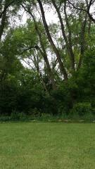 0 Saint Johns, Lincoln Park, MI