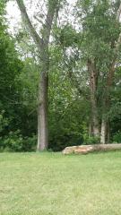 Saint Johns, Lincoln Park, MI