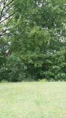 0 Saint Johns, Lincoln Park, MI