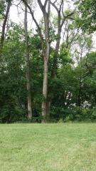 0 Saint Johns, Lincoln Park, MI
