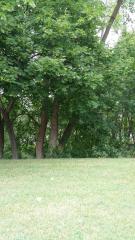 0 Saint Johns, Lincoln Park, MI