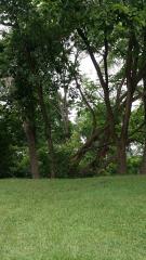 Saint Johns, Lincoln Park, MI