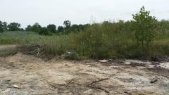 43358 WITHINGHALL LANE