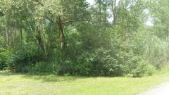 Vacant Rush Ave, Van Buren Twp, MI