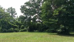 0 Moore, Romulus, MI