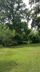 0 Whitehorn, Romulus, MI