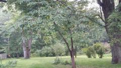 0 Bernadine St, Huron Twp, MI