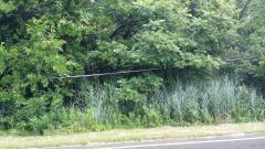 Vacant Waltz Rd, Huron Twp, MI
