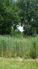 0 Buck Ave, Brownstown, MI