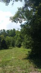 0 Cypress, Romulus, MI