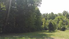 Coleman, Romulus, MI