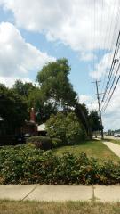 0 Schoolcraft, Redford, MI