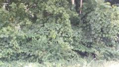 0 Dale, Redford, MI