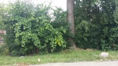 0 Glendale, Redford, MI