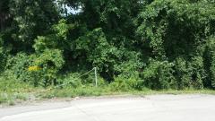 0 Glendale, Redford, MI