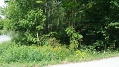 Fenton, Redford, MI