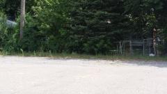 Dale, Redford, MI