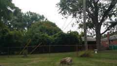 Inkster, Redford, MI
