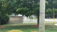 0 Inkster, Redford, MI