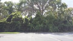 0 S Merriman, Westland, MI