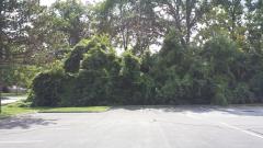 0 S Merriman, Westland, MI
