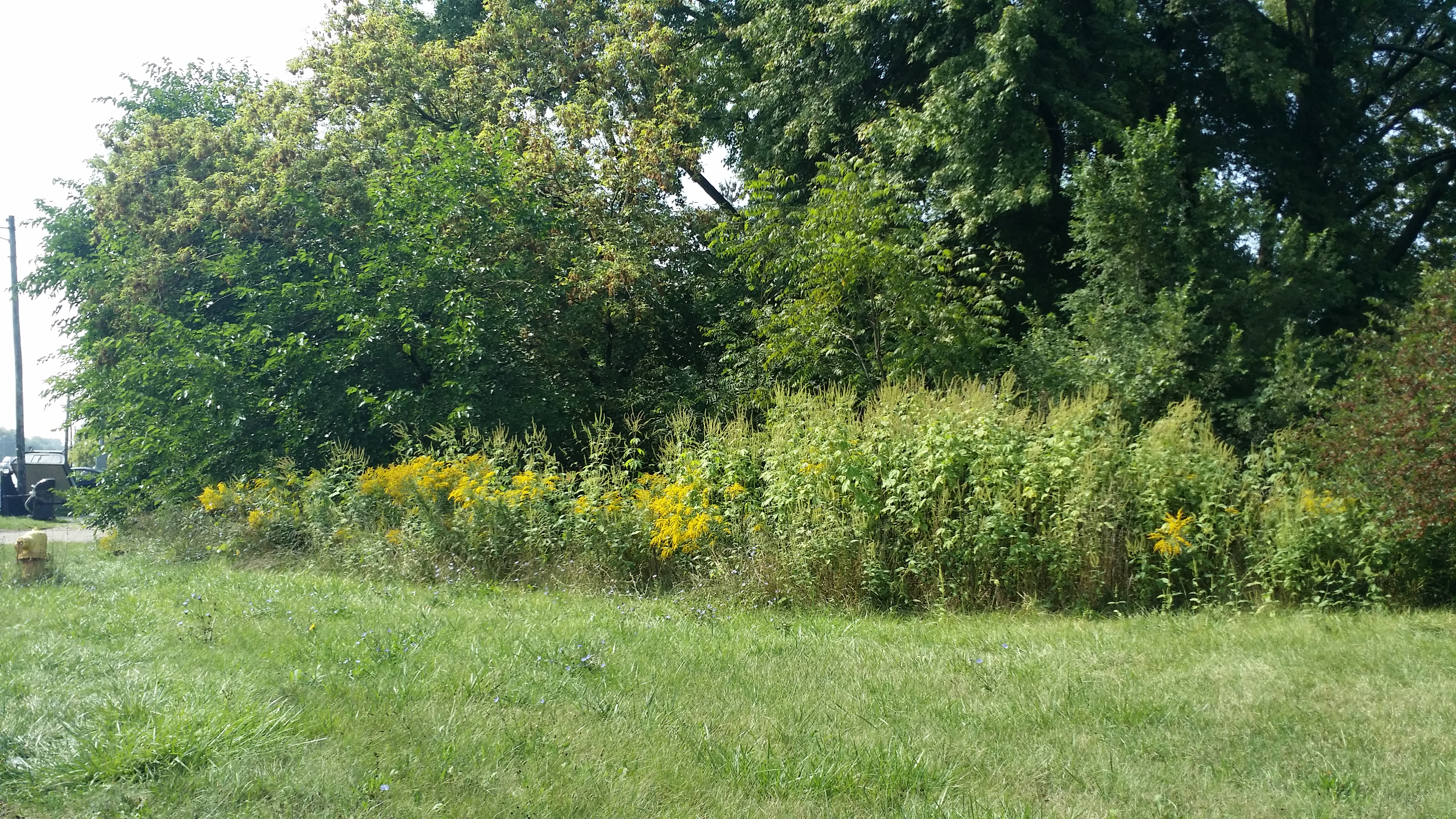 0 S Inkster photo