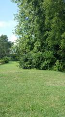 0 S Inkster, Westland, MI