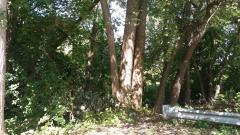 0 Banner, Taylor, MI