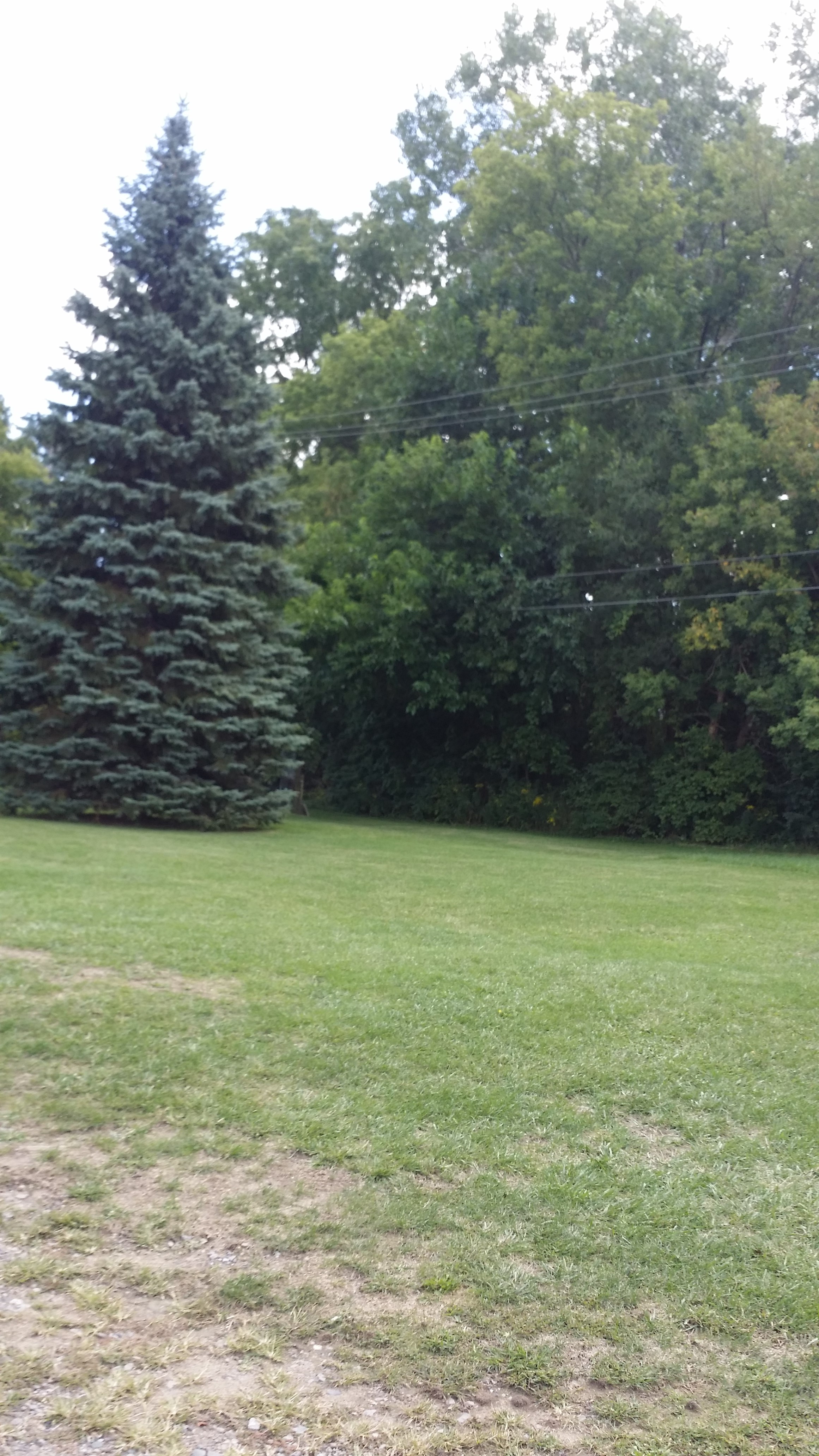 0 Beech Daly photo