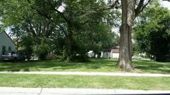 0 Mc Donald, Dearborn Heights, MI