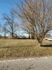 0 Hunt, Romulus, MI