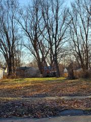 0 Ross, Inkster, MI