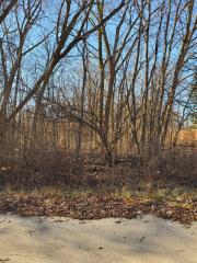 0 Winston, Redford, MI
