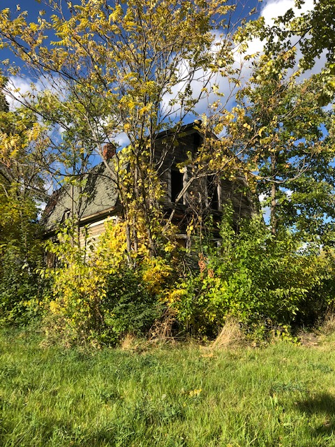 122 Grove photo