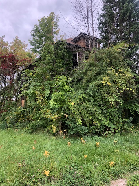 155 Avalon photo
