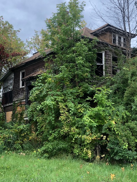 155 Avalon photo